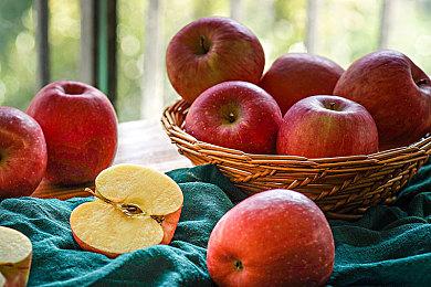 像素风休闲角色扮演游戏《埃弗霍姆》现已正式推出并获得好评